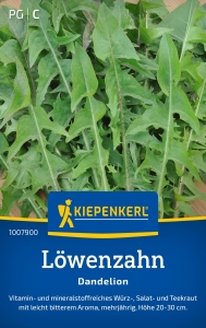 Kiepenkerl-Lwenzahnsamen-Dandelion