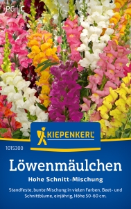 Lwenmulchensamen-Hohe-Schnitt-Mischung