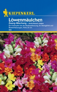 Kiepenkerl-Lwenmulchen-Zwerg-Mischung