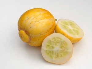 Lemon-Gurke-Zitronengurke-Crystal-Cucumber-10-Samen