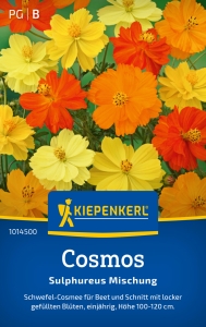 Kiepenkerl-Cosmos-Sulphureus-Mischung