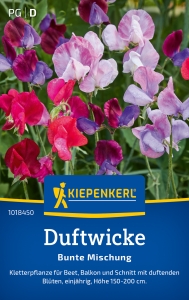 Kiepenkerl-Duftwickensamen-Bunte-Mischung