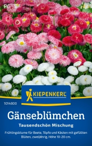 Kiepenkerl-Gnseblmchensamen-Tausendschn-Mischung-4