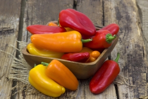 Ser-Spitzpaprika-Paprikasamen-Frchte-bis-120-Gramm-10-Samen