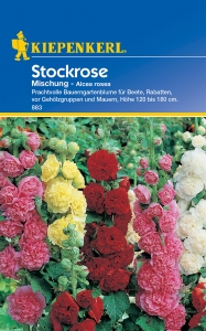 Kiepenkerl-Stockrose-Mischung