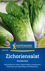 Kiepenkerl-Zichoriensalat-Zuckerhut