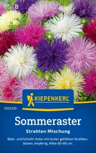 Kiepenkerl-Sommer-Strahlen-Mischung