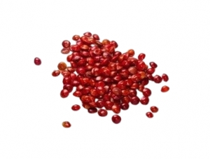 -Perlenbaum-Adenanthera-pavonina-Roter-Sandelholzbaum-5-Samen