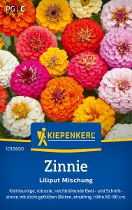 Zinniensamen-Liliput-Mischung