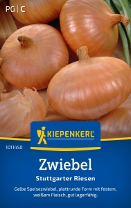 Kiepenkerl--Zwiebelsamen-Stuttgarter-Riesen