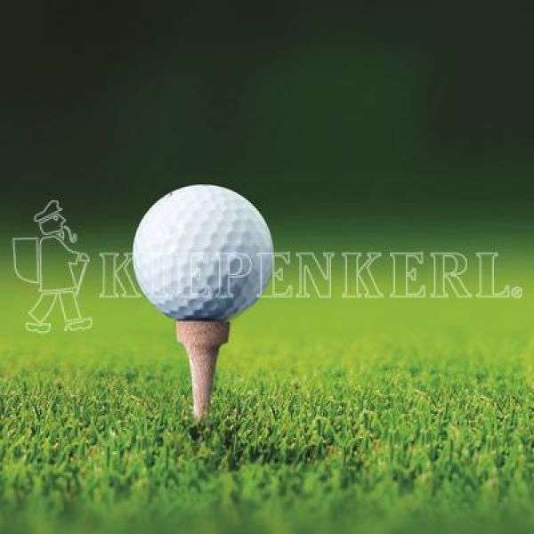 Bild 1 von Kiepenkerl RSM 4.3 Golfrasen Abschlag 10 kg