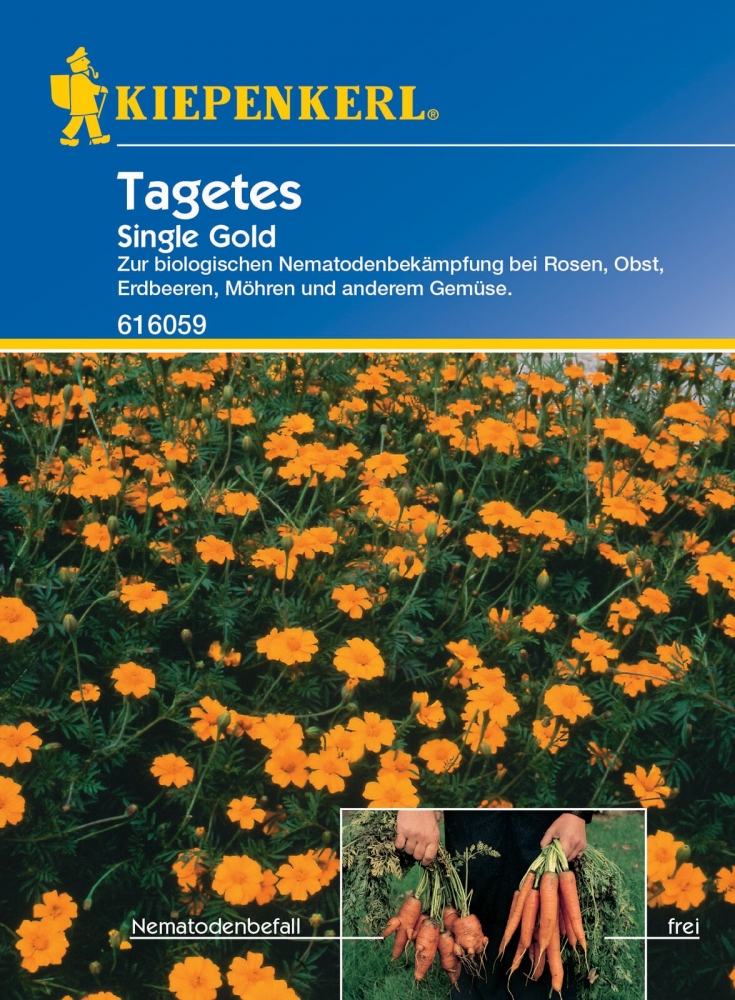 Bild 1 von Kiepenkerl Tagetes Single Gold, 6 Gramm