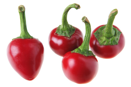 Bild 1 von Chili Satans Kiss zum Füllen 1000 Samen