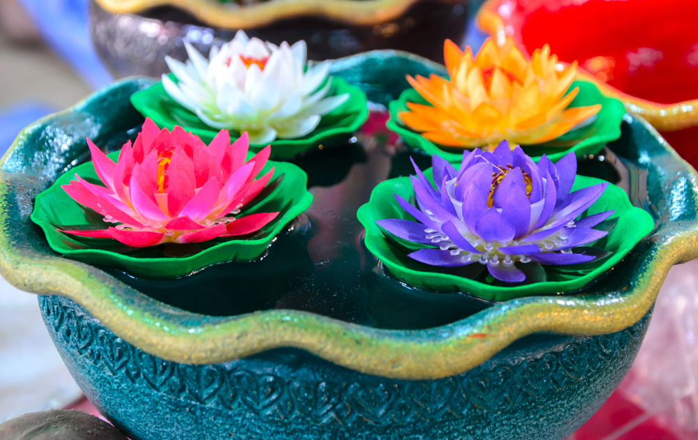 Bild 1 von Lotus Samen Nelumbo Nucifera Mix 10 Samen gemischte Farben