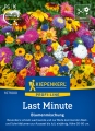 Bild 1 von Kiepenkerl Blumensamen-Mischung Last Minute