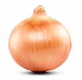 Bild 1 von Riesenzwiebel Gemüsezwiebel "The Kelsae" 1000 Samen bis zu 1,5 Kg Gewicht