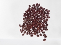 Adzukibohne Azuki Bohne  1000 Samen (Vigna angularis) 