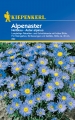 Bild 1 von Kiepenkerl Alpenaster Hellblau