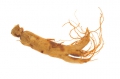 Panax Ginseng 10 Samen