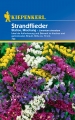 Bild 1 von Kiepenkerl Strandflieder Mischung