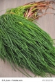 Agretti Salsola soda Meeresspargel Salzkraut ital. Spezialität 100 Samen