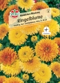 Bild 1 von Sperli Ringelblumensamen Modefarben Mischung (11)