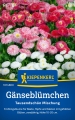 Kiepenkerl Gänseblümchensamen Tausendschön Mischung (4)