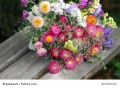 Bild 2 von Riesen Strohblumen Helichrysum Xerochrysum Trockenblumen bunt gemischt 100 Samen