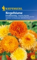 Bild 1 von Kiepenkerl Ringelblume Prachtmischung