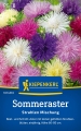 Bild 1 von Kiepenkerl Sommer Strahlen Mischung (13)