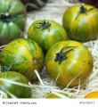 Tomate Green Zebra 10 Samen