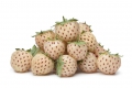 Weisse Ananas Erdbeere Pineberry 50 Samen